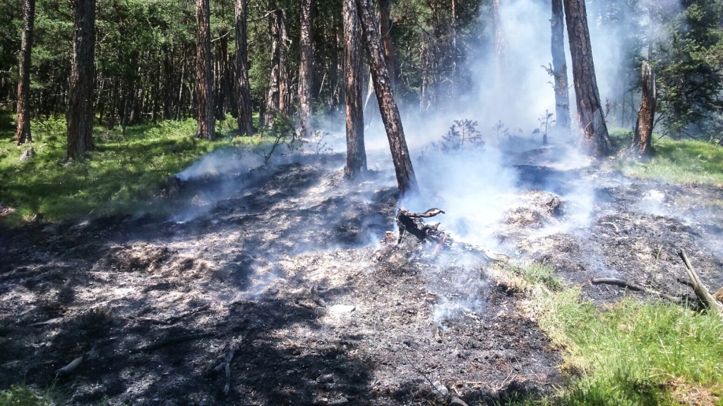 Waldbrand Stanz Landeck