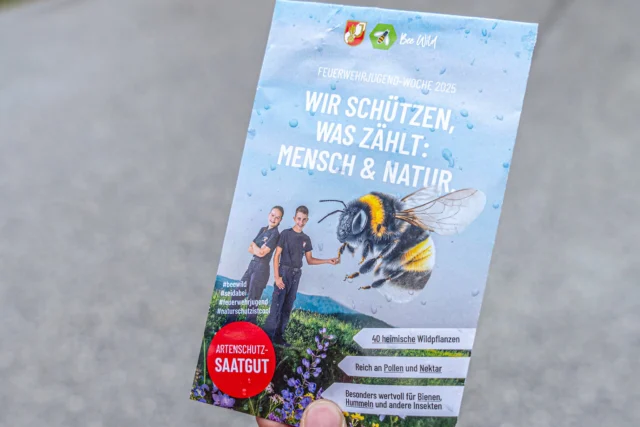 🌼 Es geht los – Feuerwehrjugend-Woche 2025!
Alle Gruppen sind mit Saatgut-Päckchen ausgestattet – sogar an der Landes-Feuerwehrschule Tirol wird es bald blühen! 🐝🌸
🎓 Alles, was ihr braucht:
📘 Aktionshandbuch
🎥 Erklärvideo
🧠 Online-Quiz
👉 www.beewild.com/blogs/ff-jugend
🎬 Zeigt uns eure Projekte in einem kurzen Video und postet mit den Hashtags:
#beewild #seidabei #feuerwehrjugend #naturschutzistcool
💻 Video-Upload direkt unter:
👉 https://beewild.firebrigade.at/
🏆 Die besten Beiträge werden mit Preisgeld belohnt!
📸 Im Bild:
🔥 LFK Jakob Unterladstätter
🔥 LFK-Stv. Hannes Mayr
🔥 LFI Rene Staudacher
🔥 Magdalena Bichler (LSGL Feuerwehrjugend)
#feuerwehrtirol #feuerwehrjugendtirol